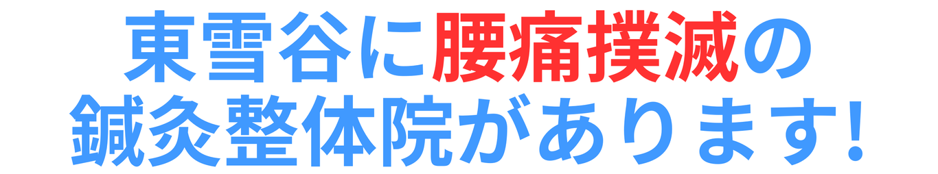 東雪谷に腰痛撲滅の鍼灸整体院あります！ 石川台、鍼灸、腰痛、首肩こり、雪が谷大塚、洗足池